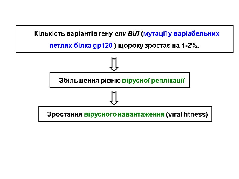 Кількість варіантів гену env ВІЛ (мутації у варіабельних петлях білка gp120 ) щороку зростає